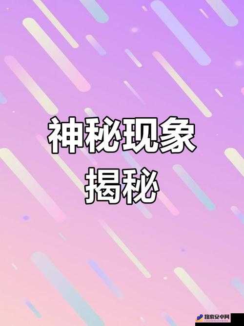 综合一区中：探索未知的奥秘