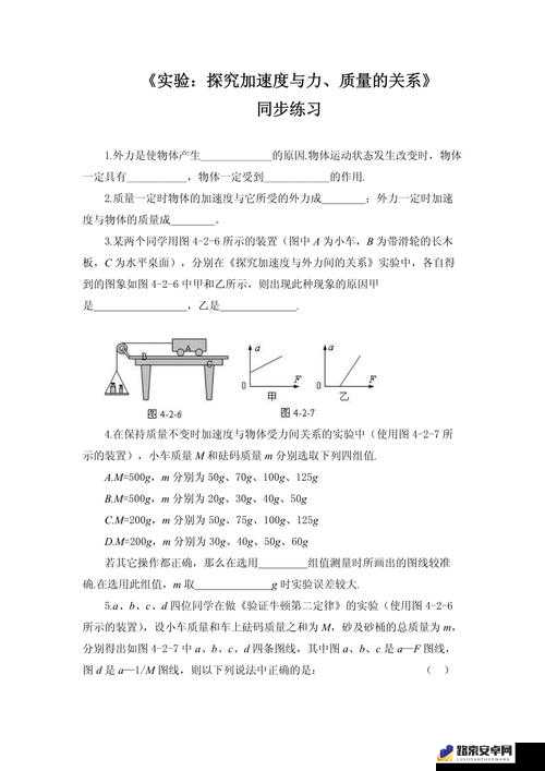 他强而有力的律动表现如何：探究其背后的魅力与秘密